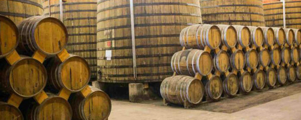 cave à vin cognac